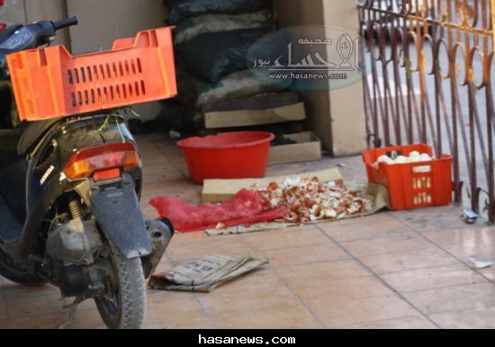 :	 .jpg
: 913
:	39.9 