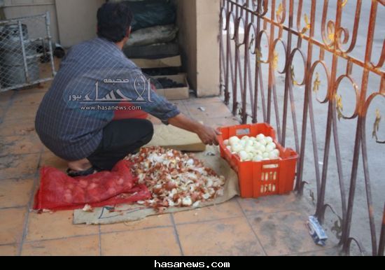 :	 .jpg
: 1100
:	41.6 