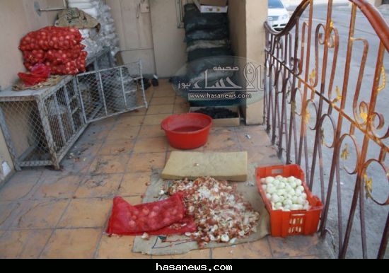 :	 .jpg
: 1138
:	45.4 