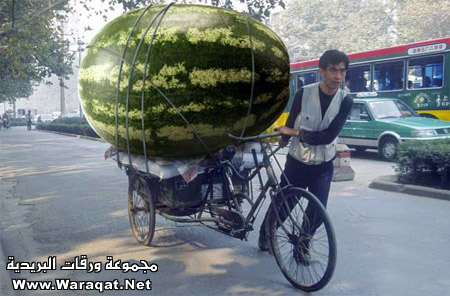 :	7kaeq28.jpg
: 234
:	70.8 