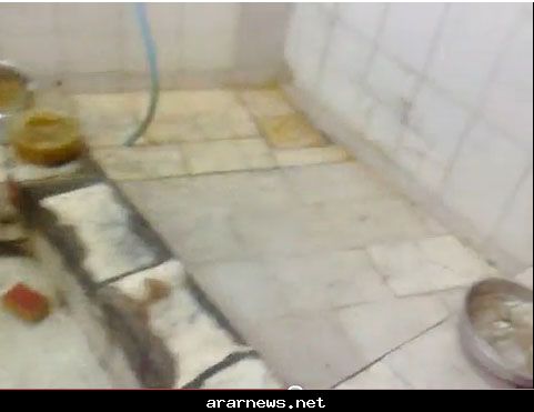 :	 .jpg
: 2453
:	17.8 