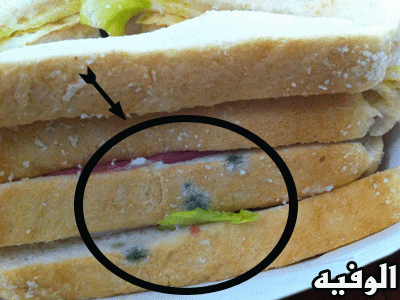 :	lgdl4p38h2xo.gif
: 11247
:	77.6 