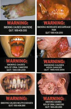 :	bnew1.jpg
: 840
:	65.1 