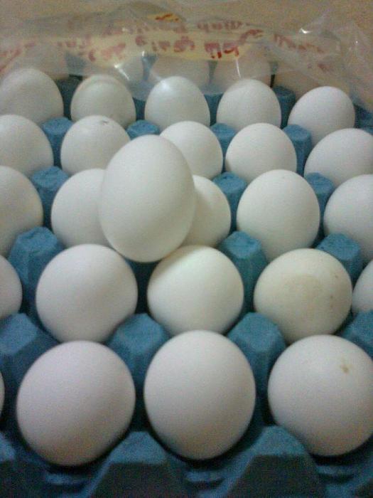     

:	.jpg
:	495
:	17.8 
:	4939