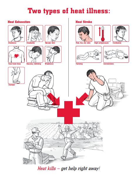     

:	Heat 2.jpg
:	505
:	26.8 
:	4941