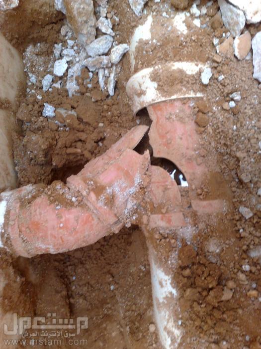     

:	p4.jpg
:	1425
:	32.1 
:	4968