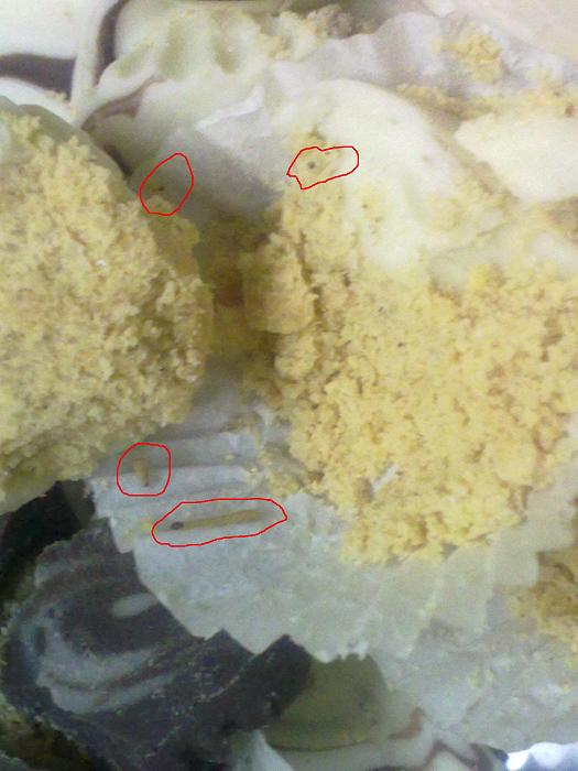     

:	a0A47700.jpg
:	629
:	20.6 
:	4988