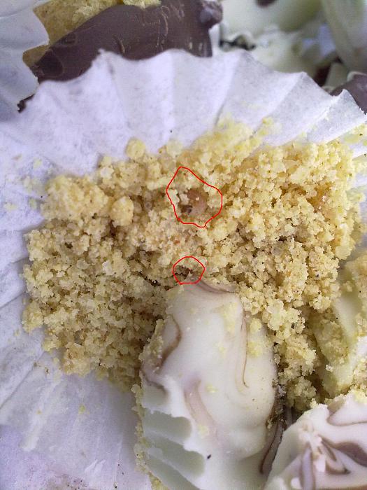     

:	iYY47700.jpg
:	597
:	26.3 
:	4989