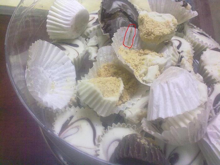     

:	KXF47823.jpg
:	606
:	33.5 
:	4991