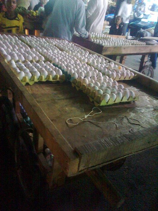     

:	9.jpg
:	395
:	25.0 
:	5039