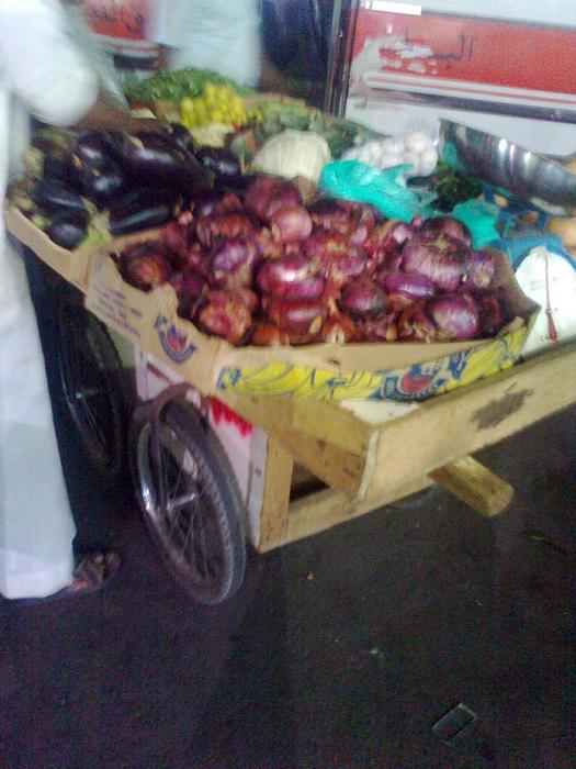     

:	11.jpg
:	383
:	24.2 
:	5041