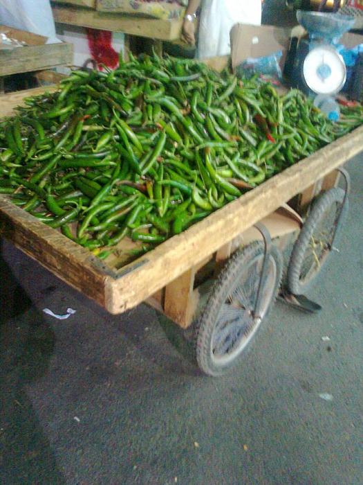     

:	14.jpg
:	374
:	29.6 
:	5043