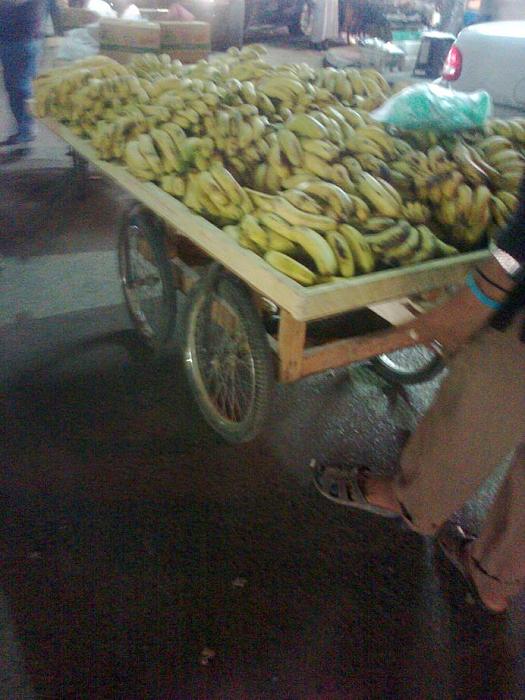     

:	15.jpg
:	361
:	23.3 
:	5044