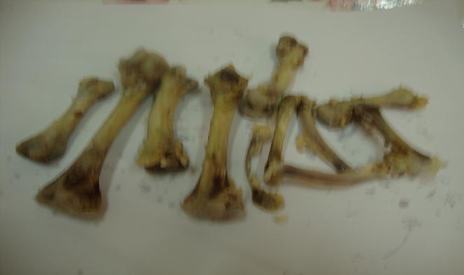 :	 1.JPG
: 9038
:	34.1 