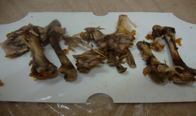 :	 .JPG
: 8512
:	51.0 