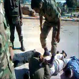 :	syr.jpg
: 307
:	30.7 