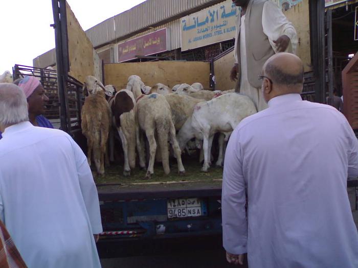     

:	201111074034.jpg
:	1423
:	31.2 
:	5426