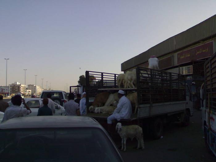     

:	201111074035.jpg
:	1519
:	21.1 
:	5427