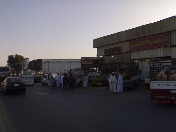     

:	201111074037.jpg
:	1482
:	18.9 
:	5428