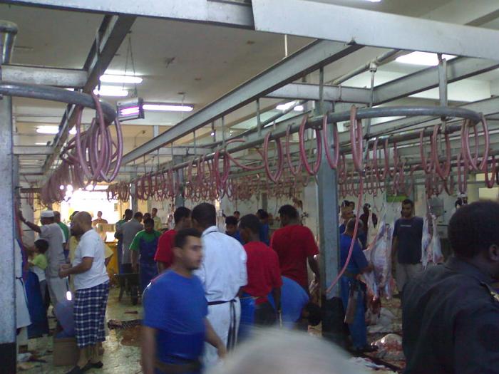     

:	201111074038.jpg
:	1461
:	41.4 
:	5429