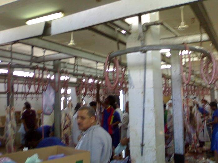     

:	201111074039.jpg
:	1445
:	36.7 
:	5430