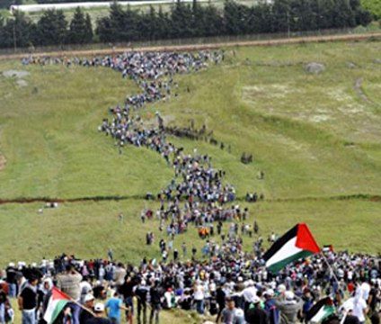 :	swema.jpg
: 964
:	44.0 