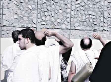 :	546762_2.jpg
: 395
:	14.0 