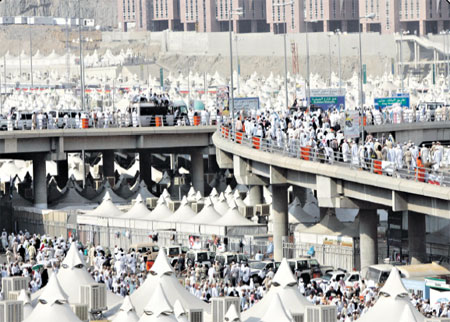 :	546997_1.jpg
: 345
:	57.6 