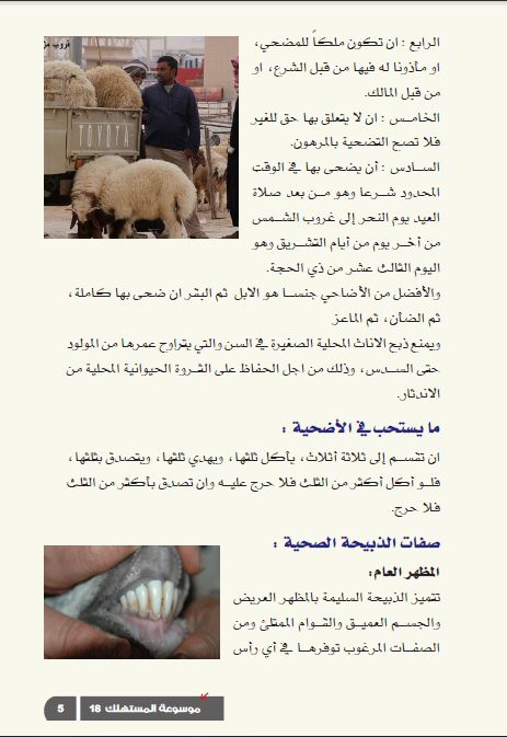     

:	   2.jpg
:	306
:	23.8 
:	5756