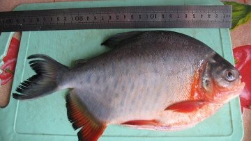 :	380877983.jpg
: 1111
:	18.6 