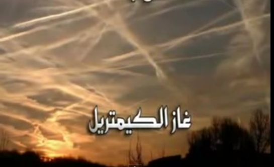 :	.jpg
: 2978
:	18.6 