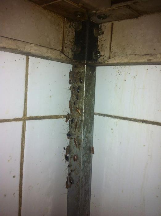     

:	3581_32300.jpg
:	3420
:	14.8 
:	5879