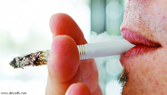 :	998850396107.jpg
: 377
:	30.2 