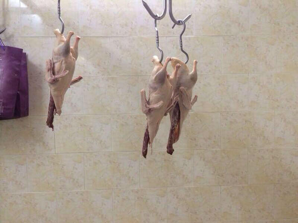 :	281786.jpg
: 2658
:	33.9 