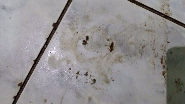 :	40853_17579.jpg
: 2472
:	28.1 