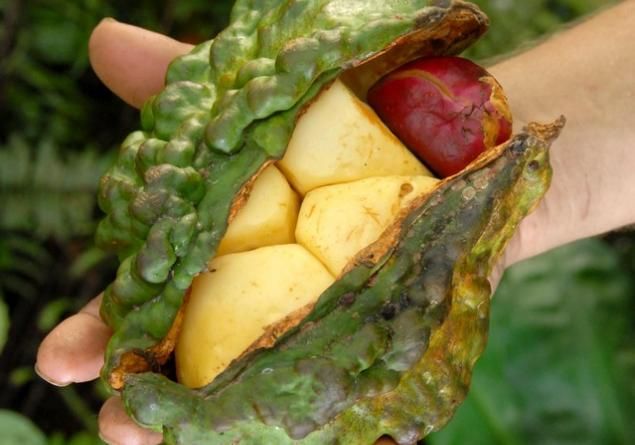 :	eden.jpg
: 2524
:	39.7 