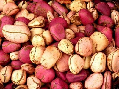 :	High-Quality-Kola-nuts.jpg
: 2500
:	43.1 