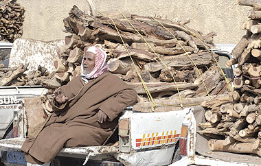 :	daily1_453456.jpg
: 747
:	48.1 