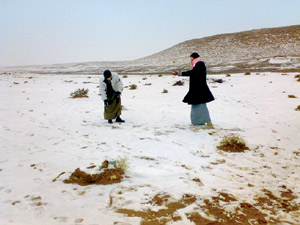 :	1101_pol_p1_n20.jpg
: 752
:	25.0 