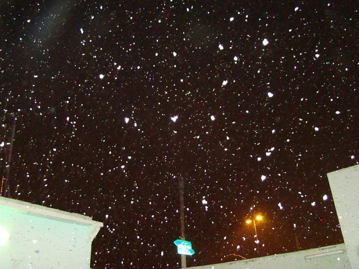     

:	5.jpg
:	449
:	95.3 
:	691