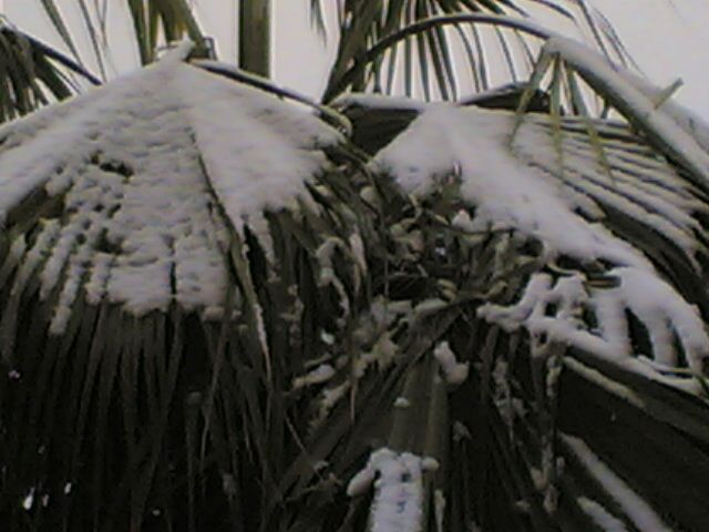 :	16.jpg
: 664
:	46.4 