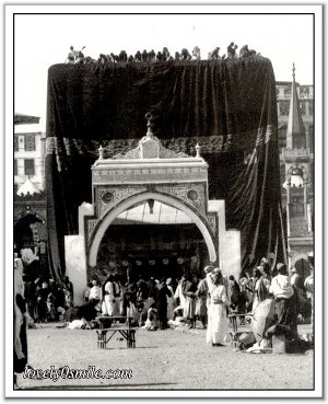 :	image007.jpg
: 446
:	35.9 