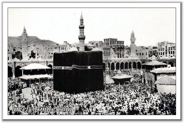 :	image008.jpg
: 498
:	68.5 