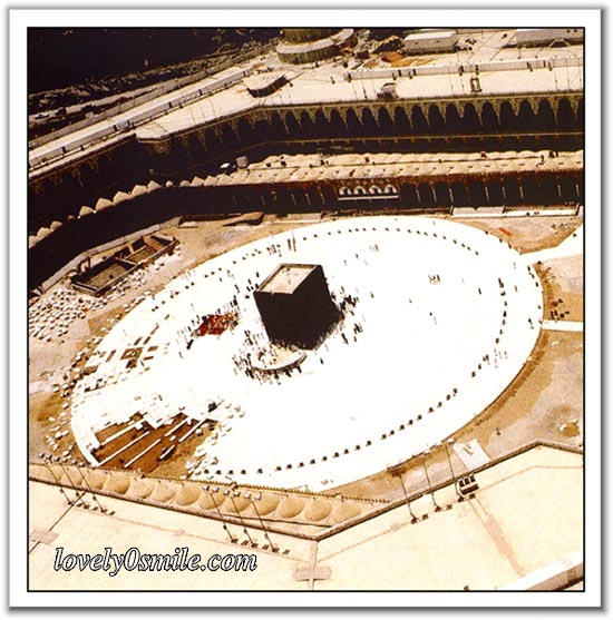 :	image010.jpg
: 458
:	78.0 