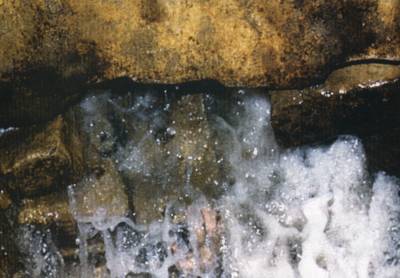 :	image016.jpg
: 432
:	19.8 