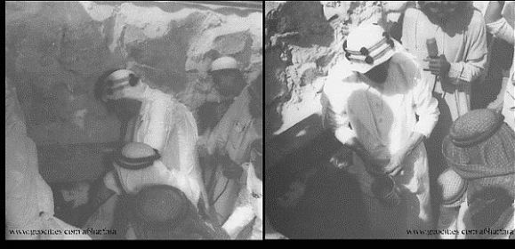 :	image018.jpg
: 370
:	31.0 