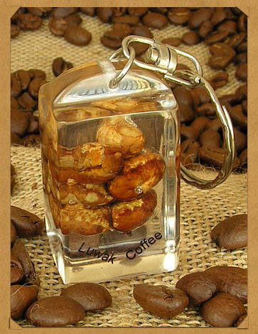 :	image005.jpg
: 472
:	63.8 