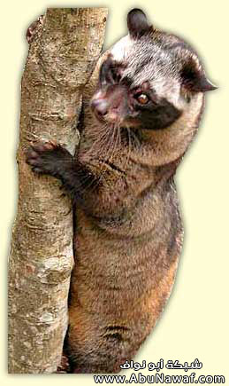 :	image006.jpg
: 426
:	30.1 