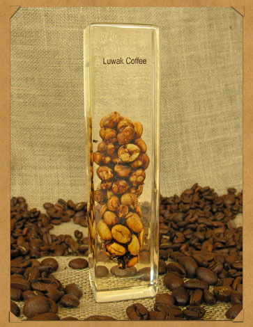 :	image008.jpg
: 541
:	54.0 