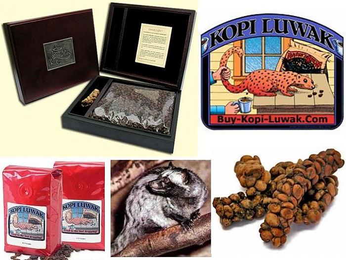     

:	image010.jpg
:	241
:	75.5 
:	869